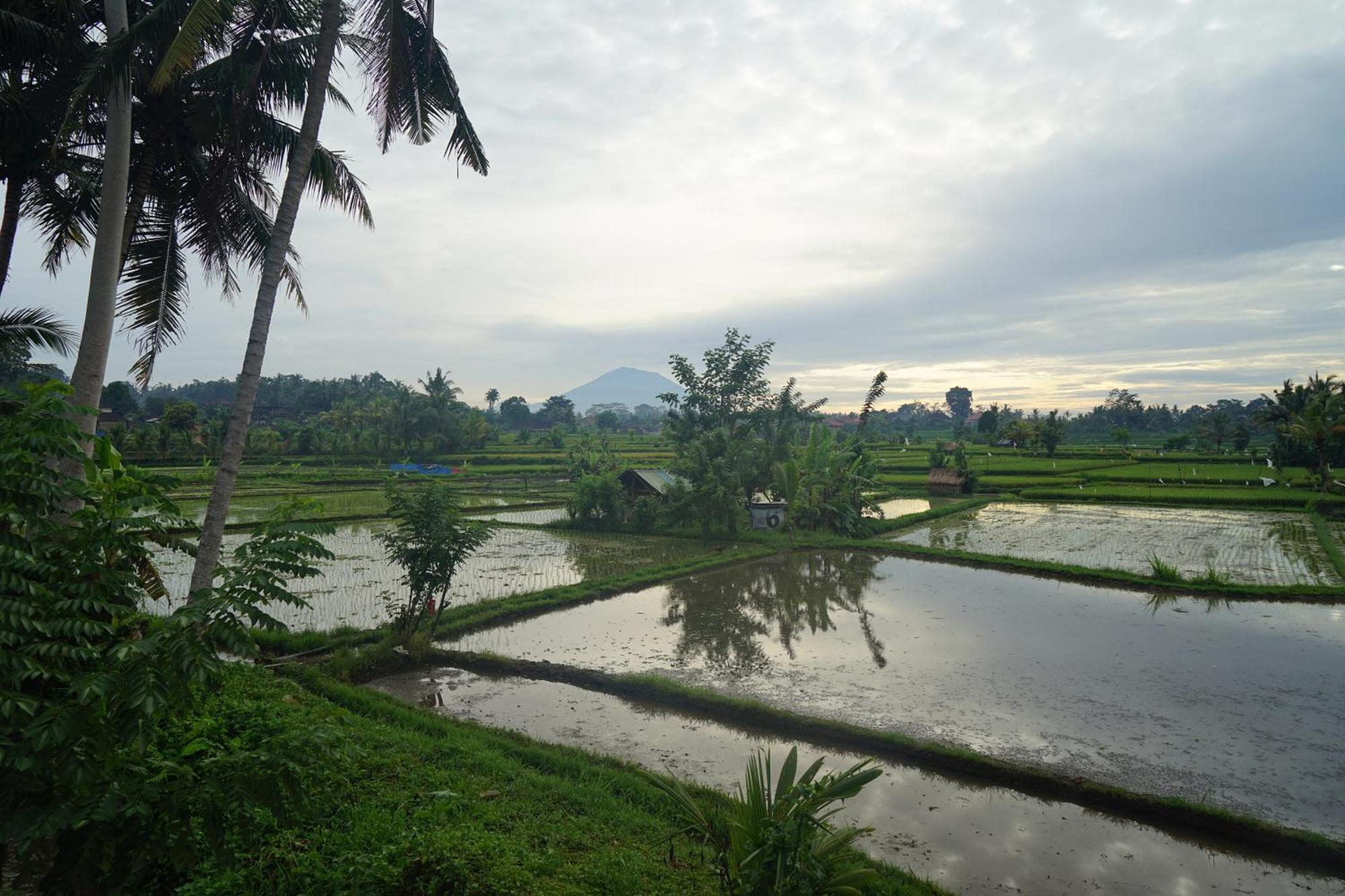 Santun Luxury Private Villas-Chse Certified Ubud  Room photo